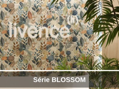 SÉRIE BLOSSOM